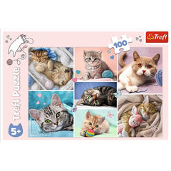 Puzzle Trefl 100 In lumea pisicilor - Publisol.ro