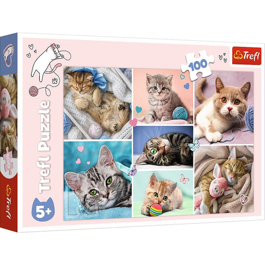 Puzzle Trefl 100 In lumea pisicilor - Publisol.ro