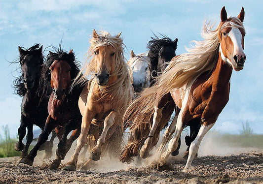 Puzzle Trefl 1000 Cai la galop - Publisol.ro