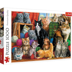 Puzzle Trefl 1000 Intalnirea pisicutelor - Publisol.ro