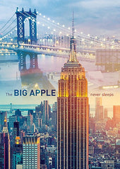 Puzzle trefl 1000 zori de zi la new york, Trefl - Publisol.ro