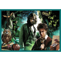 Puzzle trefl 10in1 harry potter in lumea lui harry potter, Trefl - Publisol.ro