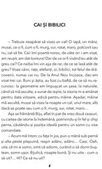 Recreatia mare, de Mircea Santimbreanu - Publisol.ro