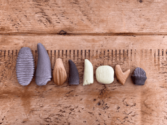 Sa investigam! - Dinti preistorici - Yellow Door - Publisol.ro