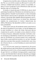 Sarpele de lumina, de Drunvalo Melchizedek - Publisol.ro