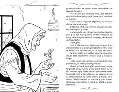 SCHIȚE ȘI POVESTIRI, de BARBU ȘTEFĂNESCU DELAVRANCEA - Publisol.ro