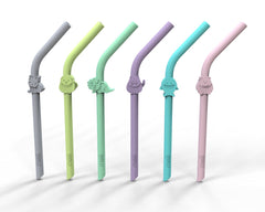 Set 6 buc paie silicon reutilizabile model animale Melii - Publisol.ro