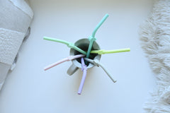 Set 6 buc paie silicon reutilizabile model animale Melii - Publisol.ro