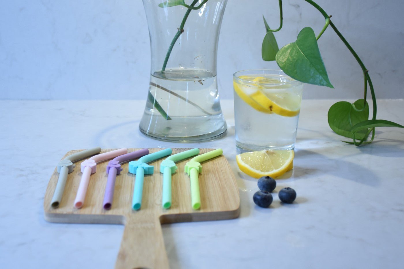 Set 6 buc paie silicon reutilizabile model animale Melii - Publisol.ro