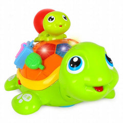 Set broscute testoase interactive lumini si sunete, Jucarii Bebe - Publisol.ro