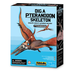 Set educativ Sapa si descopera Dinozauri - Pteranodon - 4M - Publisol.ro