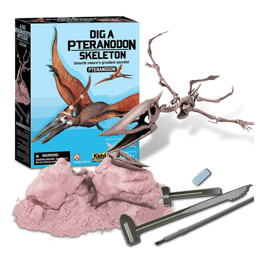 Set educativ Sapa si descopera Dinozauri - Pteranodon - 4M - Publisol.ro