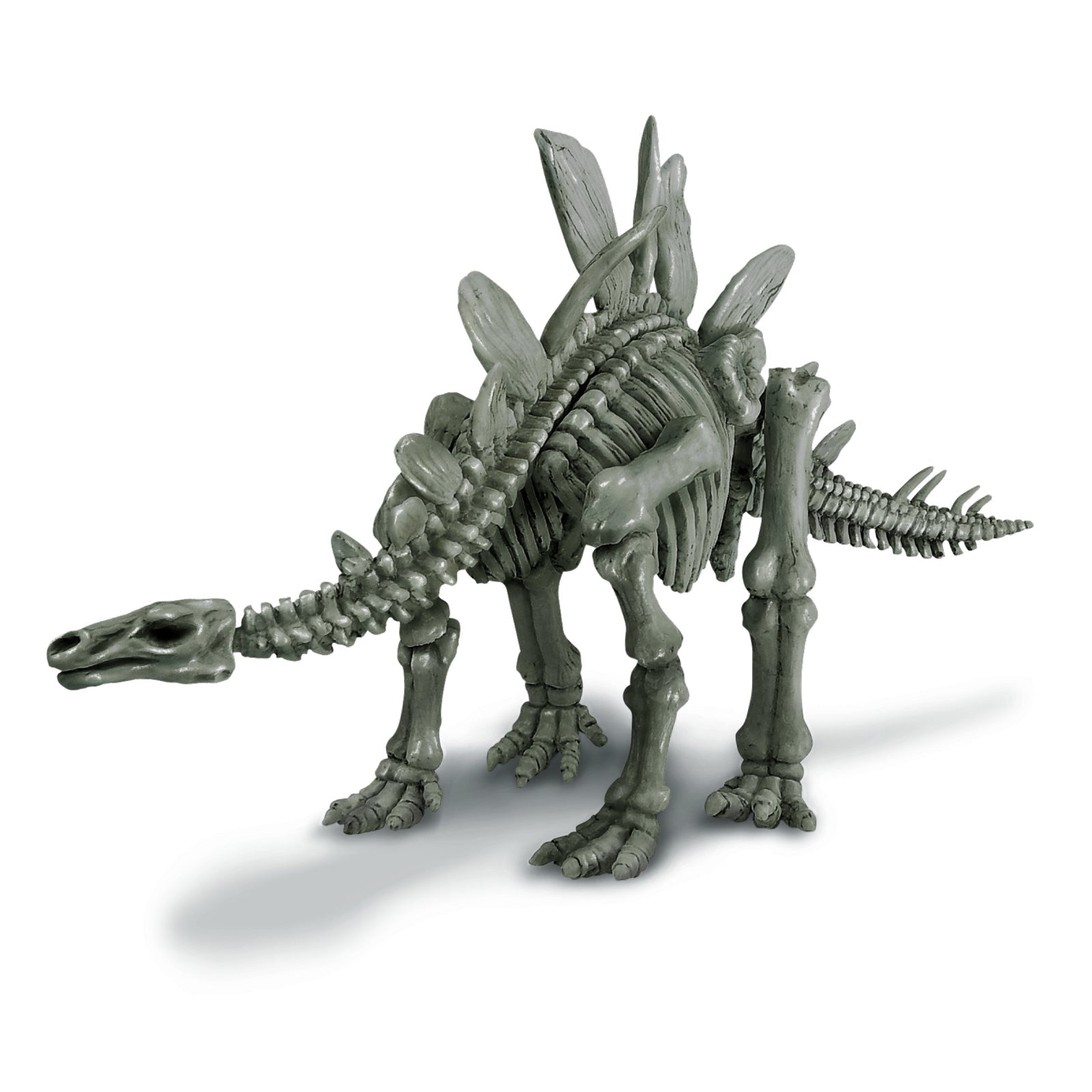 Set educativ Sapa si descopera Dinozauri - Stegosaurus - 4M - Publisol.ro