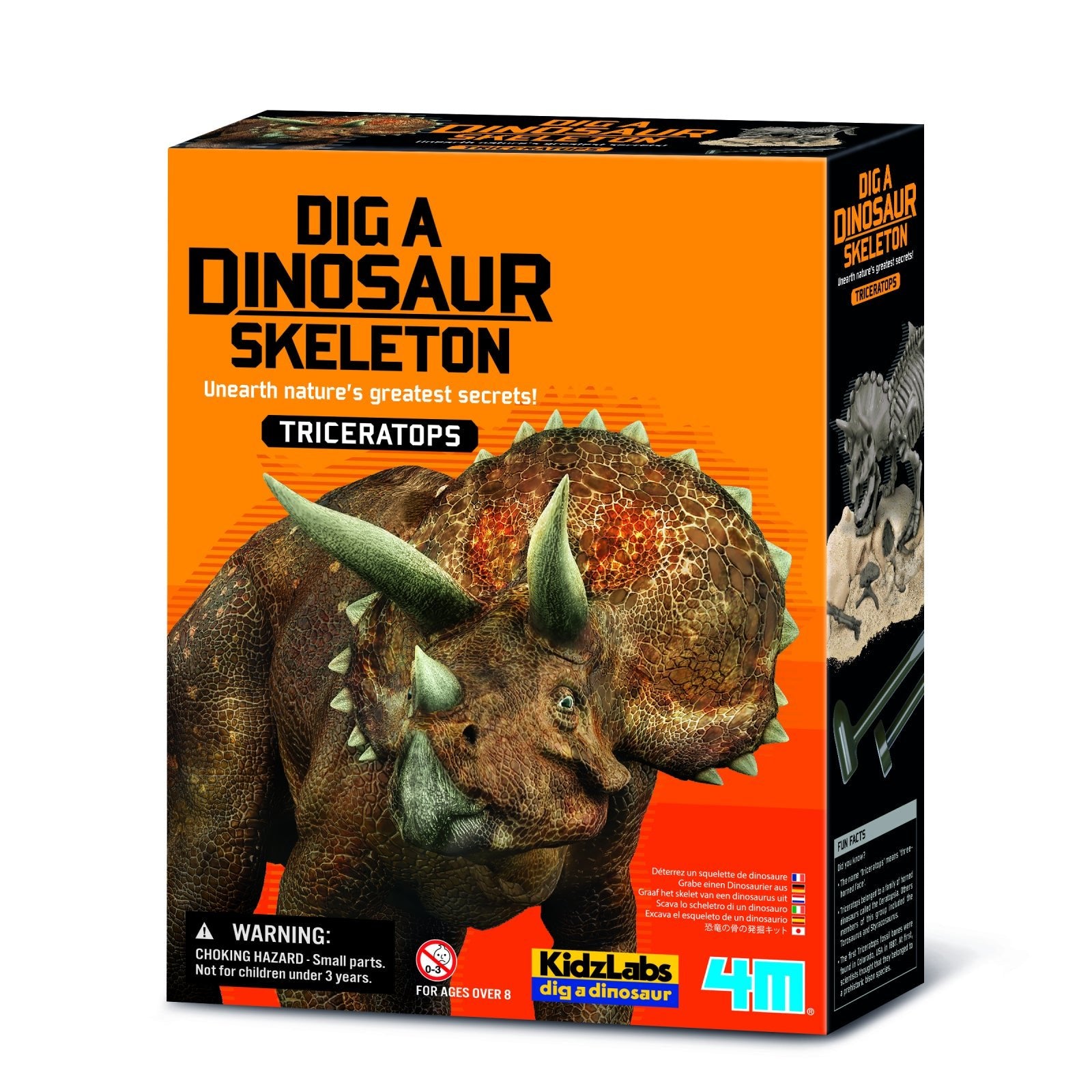 Set educativ Sapa si descopera Dinozauri - Triceratops - 4M - Publisol.ro