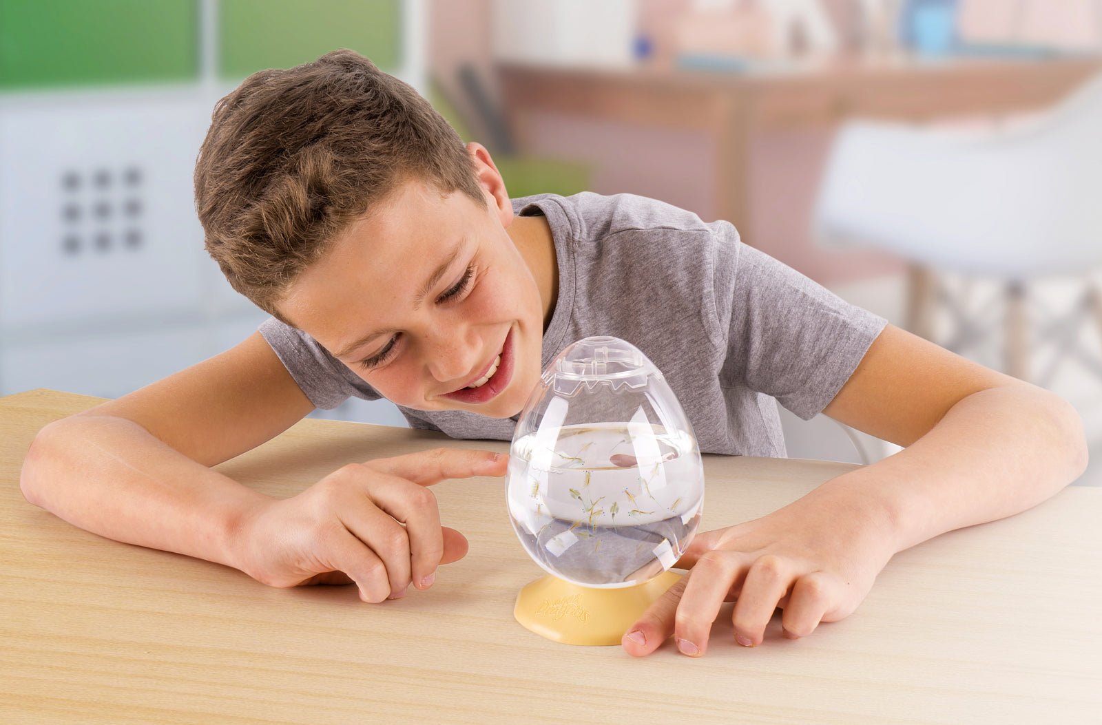 Set educativ STEM - AQUA DRAGONS Habitat Jurassic Time Travel EGGspress - Aqua Dragons - Publisol.ro