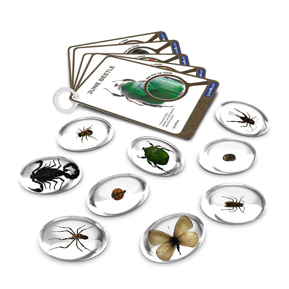 Specimen Stones, pietre din acril cu insecte, Guidecraft - Publisol.ro