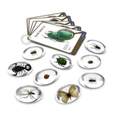 Specimen Stones, pietre din acril cu insecte, Guidecraft - Publisol.ro