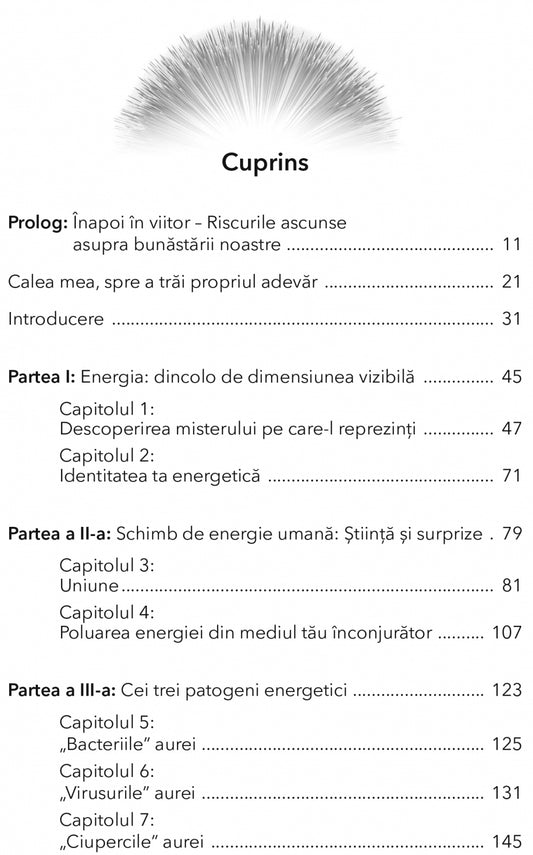 Stapaneste-ti propria energie. Dezvolta-ti imunitatea la energia toxica si mentine-ti forta de viata autentica, de Alla Svirinskaya