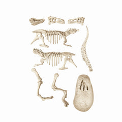 Stiinta si joaca descopera dinozaurul t - rex fluo - Publisol.ro