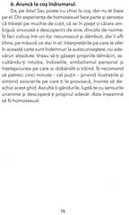 Tarotul celui de - al cincilea spirit, de Charlie Claire Burgess - Publisol.ro