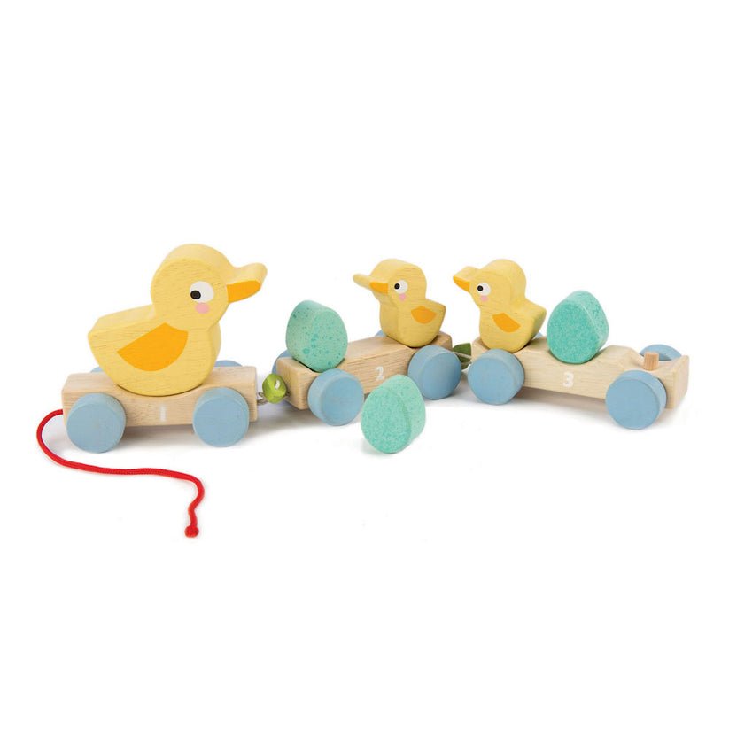 Trenulet tractabil cu ratuste, din lemn premium - Pull Along Ducks - 9 piese - Tender Leaf Toys - Publisol.ro
