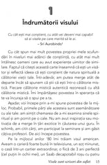 Visele sunt scrisori din suflet!, de Connie Cockrell Kaplan - Publisol.ro
