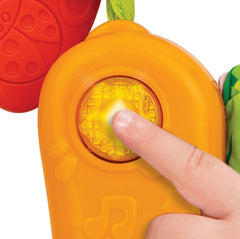 Winfun carte senzoriala, WINFUN - Publisol.ro