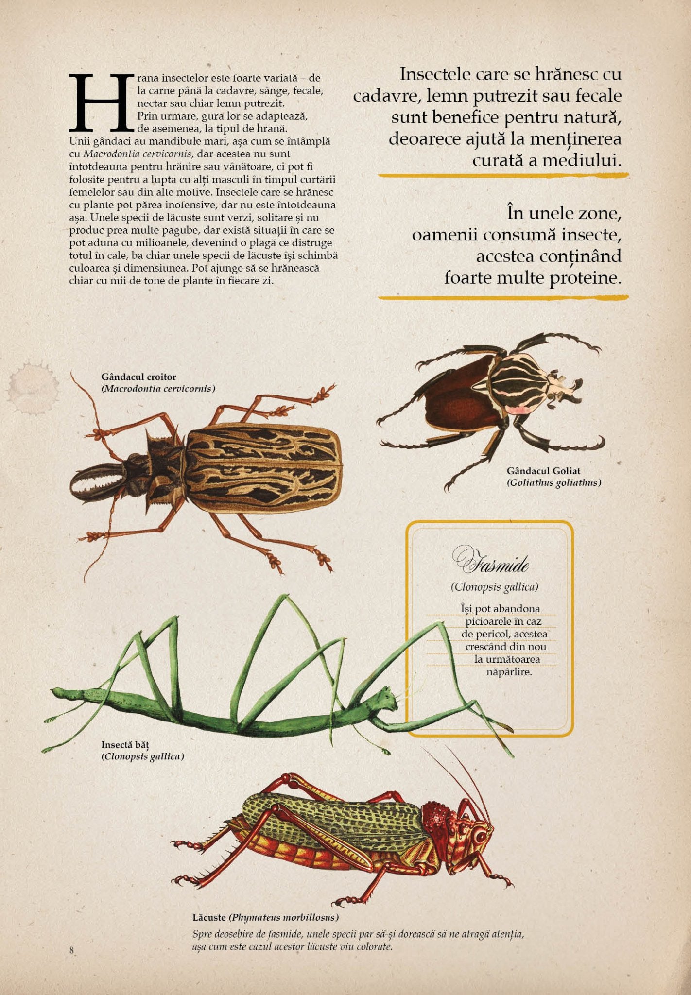 Zoologia ilustrata, de Maria Carmen Soria - Publisol.ro