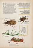 Zoologia ilustrata, de Maria Carmen Soria - Publisol.ro