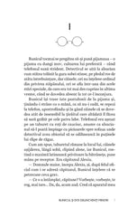 Bunicul si doi delincventi minori + Un bunic si o biata aventura - Publisol.ro