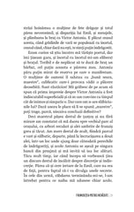 Frumusetea pietrei nevazute - Publisol.ro