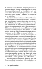 Judecata de Apoi - Publisol.ro